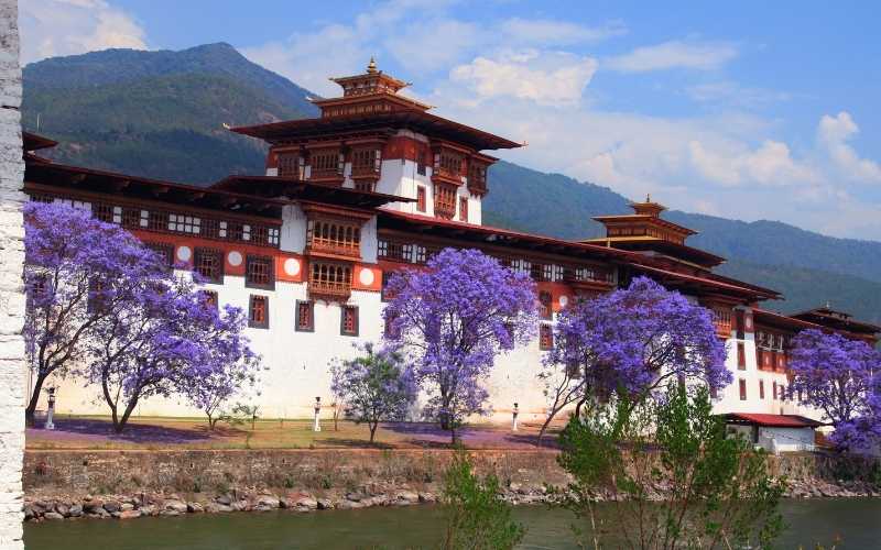 Thimphu & Paro Discovery