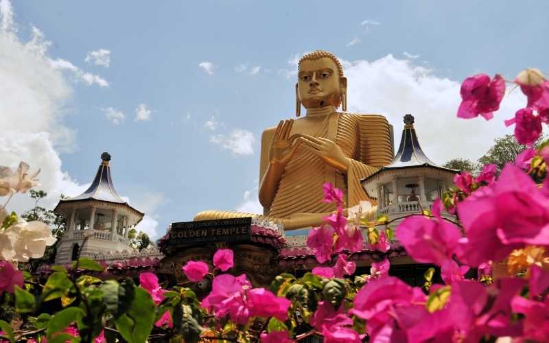 Sri Lanka Trio: Culture, Hills & City Lights