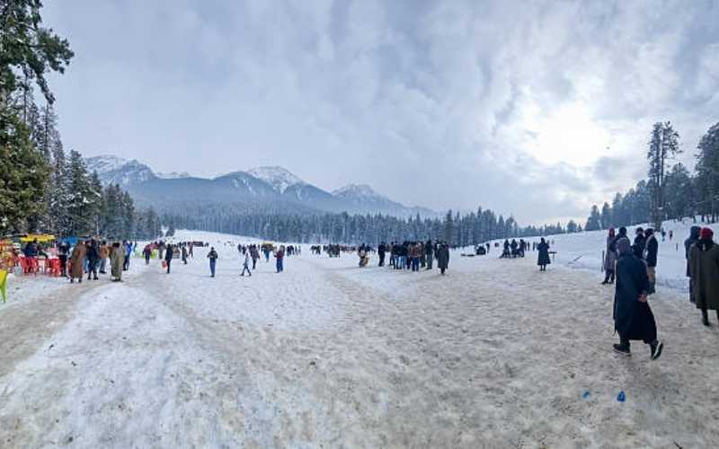 Essence of Kashmir