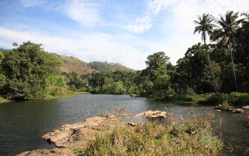 Essence of Kerala: From Coast to Canals