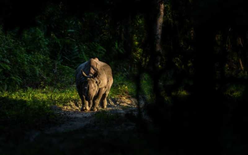 Meghalaya–Assam Circuit