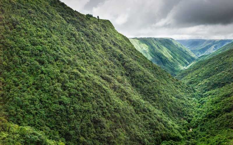 Mist & Melody: The Shillong Experience