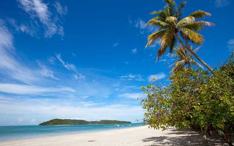 Tropical Trails & City Tales