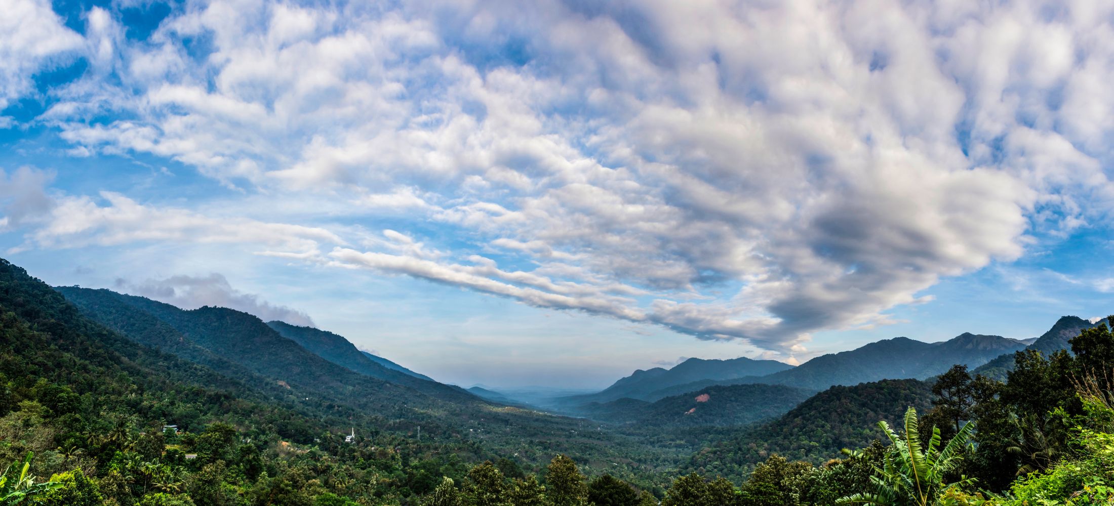 Royal Palaces to Misty Peaks: Mysore to Wayanad Tour