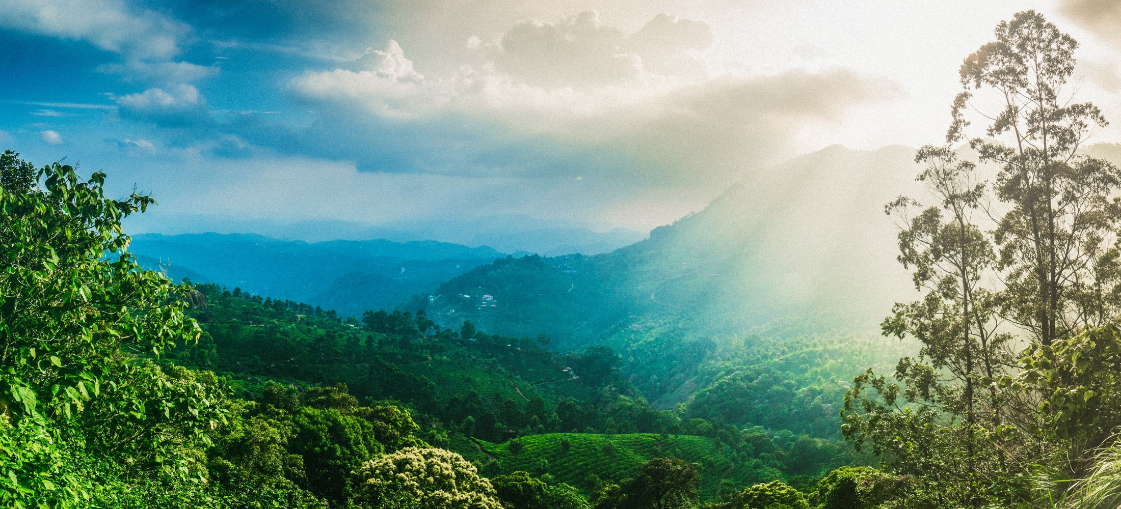 Kerala Unfolded: Hills, Backwaters & Beaches