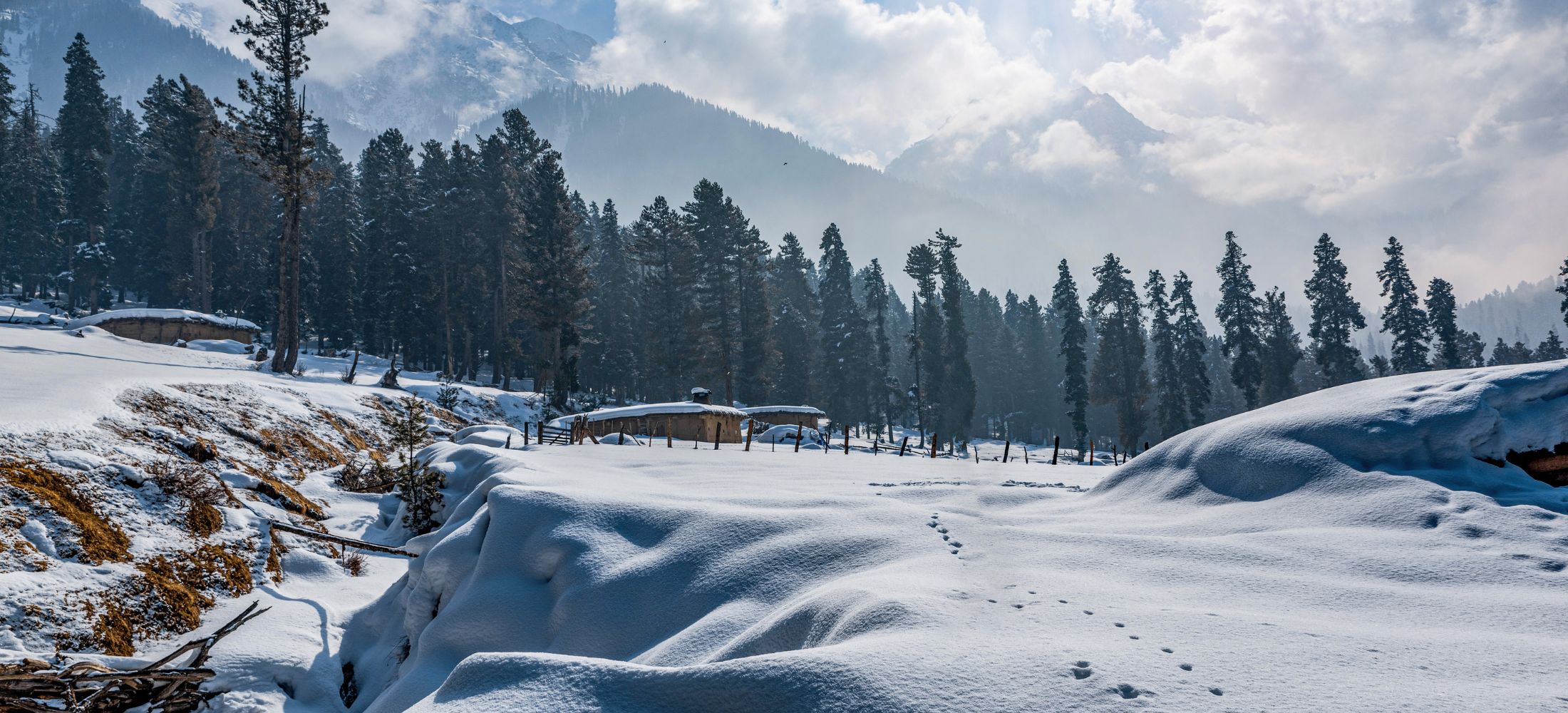 The Complete Kashmir Experience