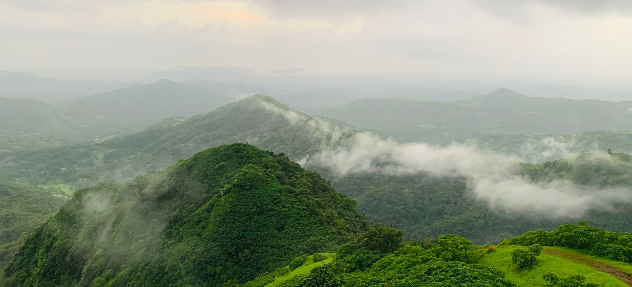 Misty Meadows of Mahabaleshwar