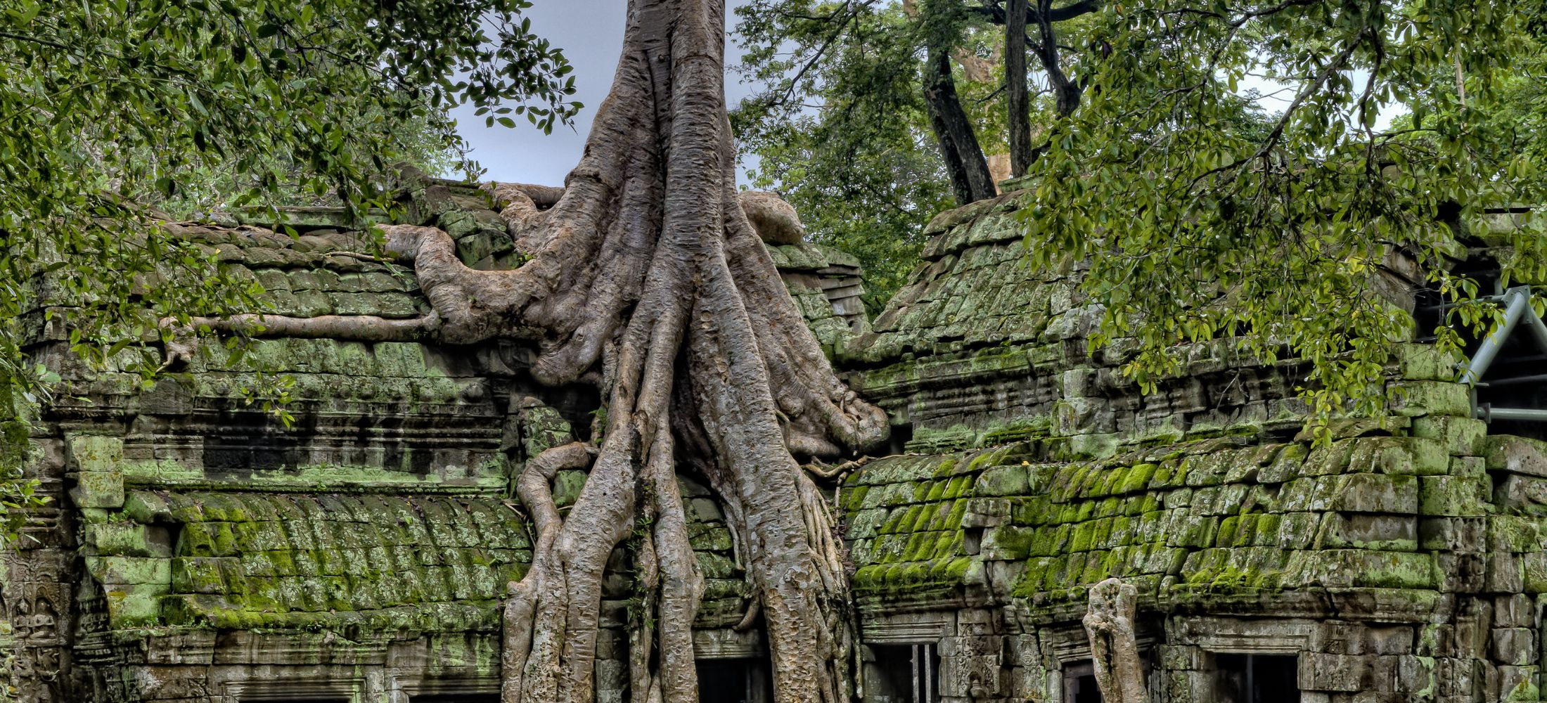 Temples to Tropics: Cambodia & Thailand Discovery