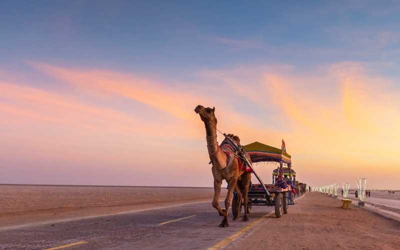 Top Rann Utsav Gujarat Tour Deals 2025