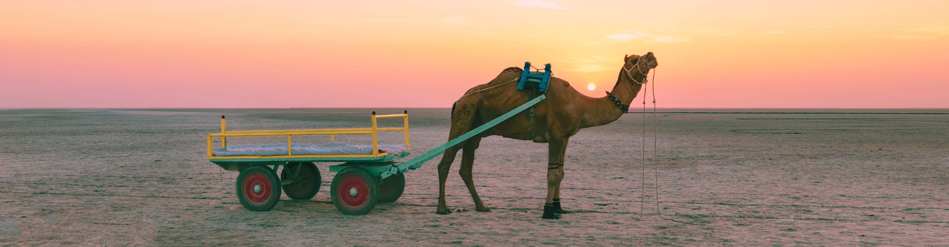 Places to visit in Gujarat