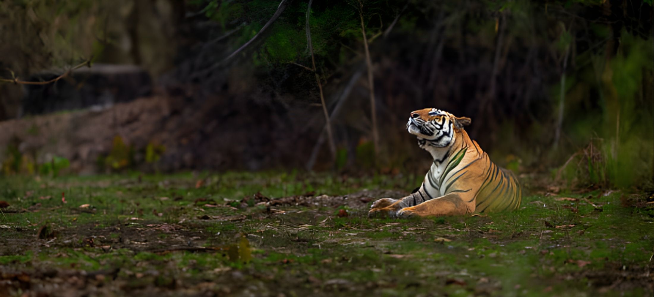 Bangalore Travel Guide: Best Places, Tips & Trip Planning