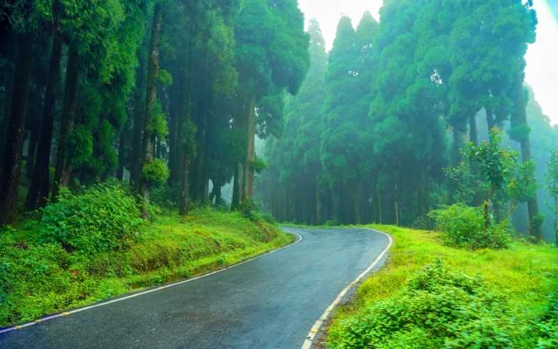 Himalayan Harmony: Darjeeling & Kalimpong Tour