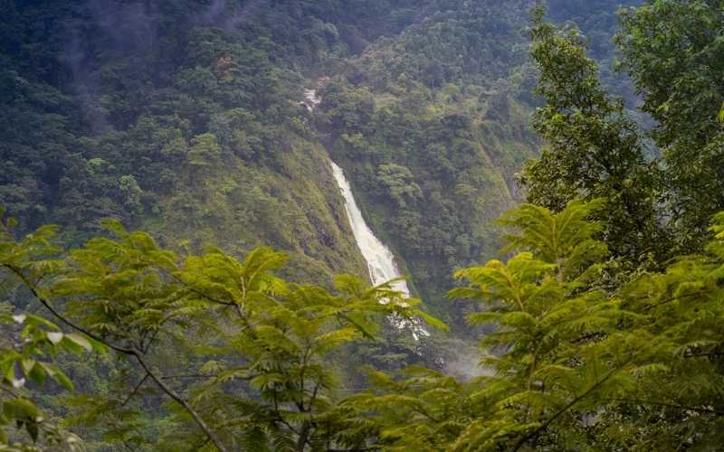 A Himalayan Rainland Journey