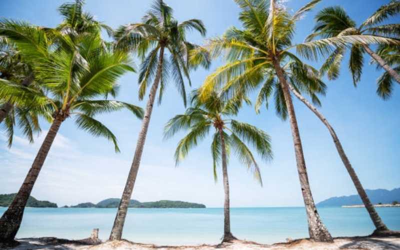 Langkawi Leisure: Island Paradise Getaway