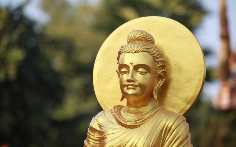 Pilgrimage Across the Heart of India